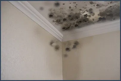 Boca Raton Water Damage Boca Raton, FL 561-295-4531 Boca Raton Water Damage Boca Raton, FL 561-295-4531